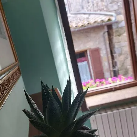 Casa Rosita Vista Διαμέρισμα *